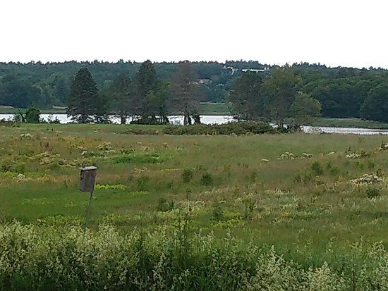 North Tonawanda Audubon Nature Preserve