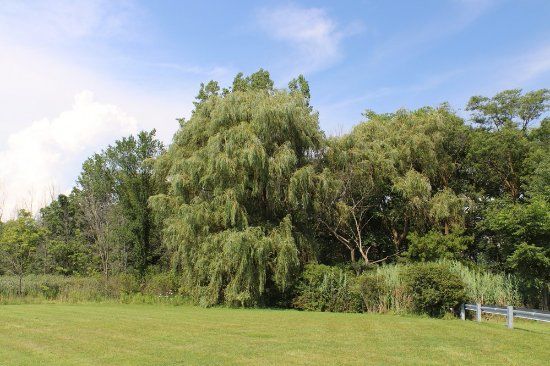Port Robinson Park