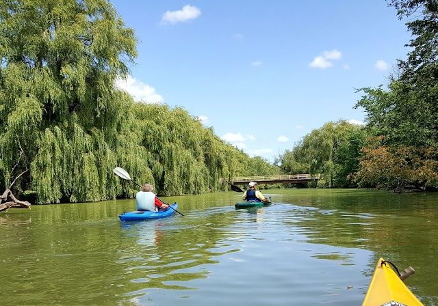 Ellicott Creek Park