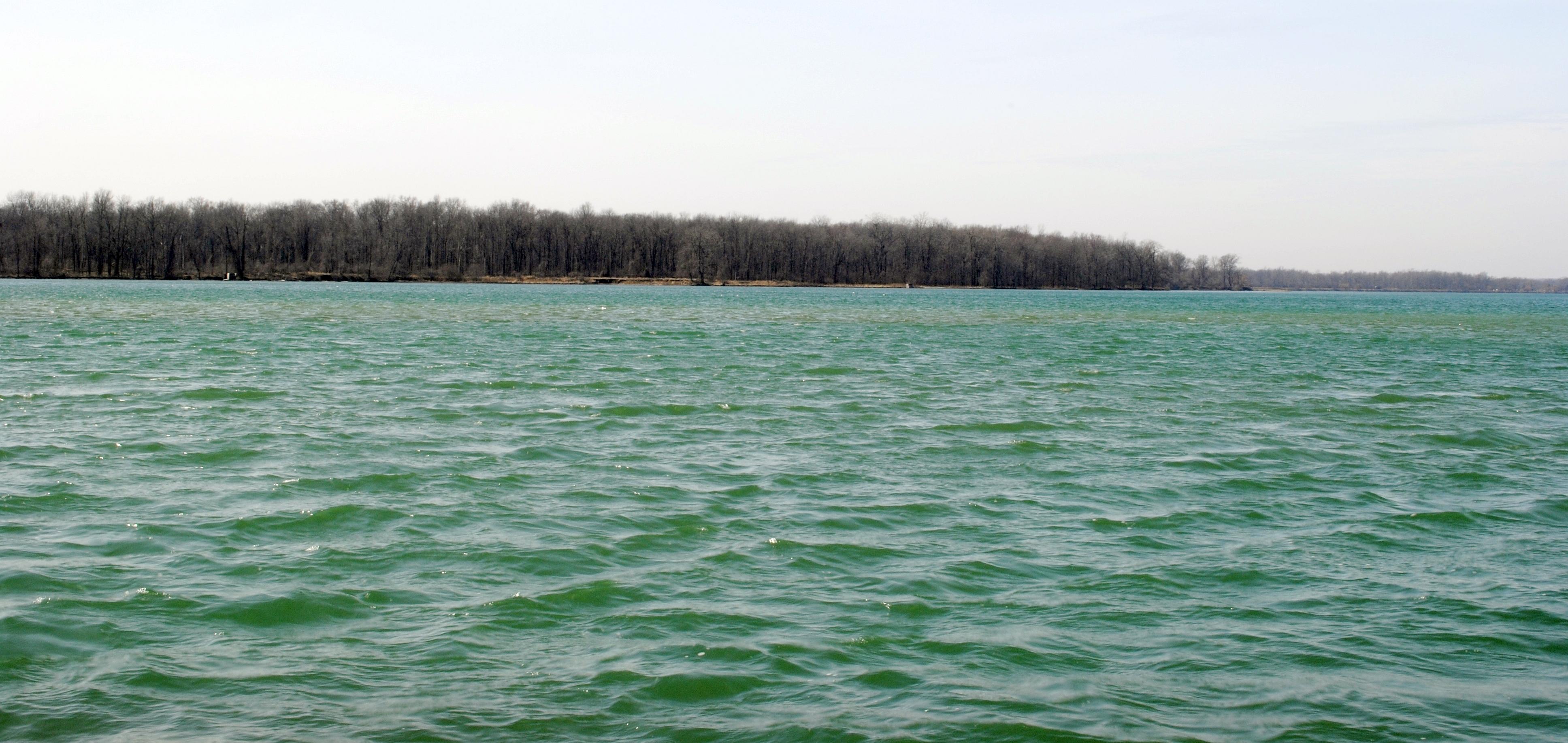 Navy Island