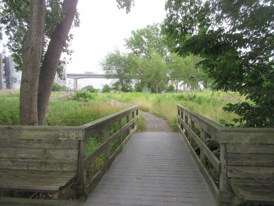 Times Beach Preserve