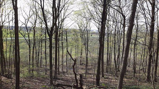 Woodend Conservation Area