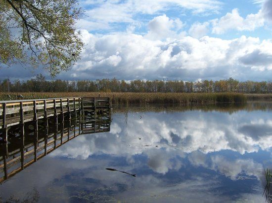 Tifft Nature Preserve